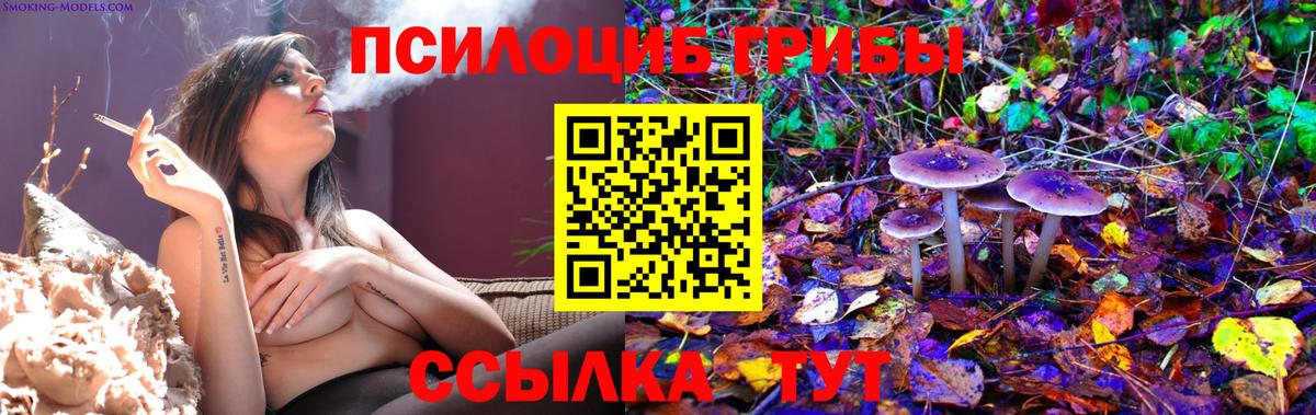 Псилоцибиновые грибы Psilocybe  Вход с VPN  Волжск 