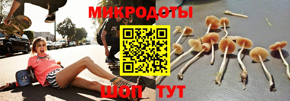 Псилоцибиновые грибы мицелий Волжск